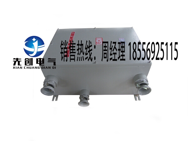 優(yōu)質(zhì)供應(yīng)防爆電器配電柜，防爆電箱，現(xiàn)貨供應(yīng)